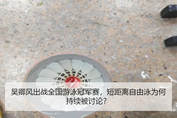 吴卿风出战全国游泳冠军赛，短距离自由泳为何持续被讨论？（MKSports）